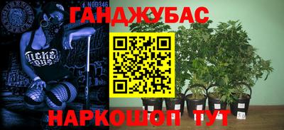 дмт Ливны