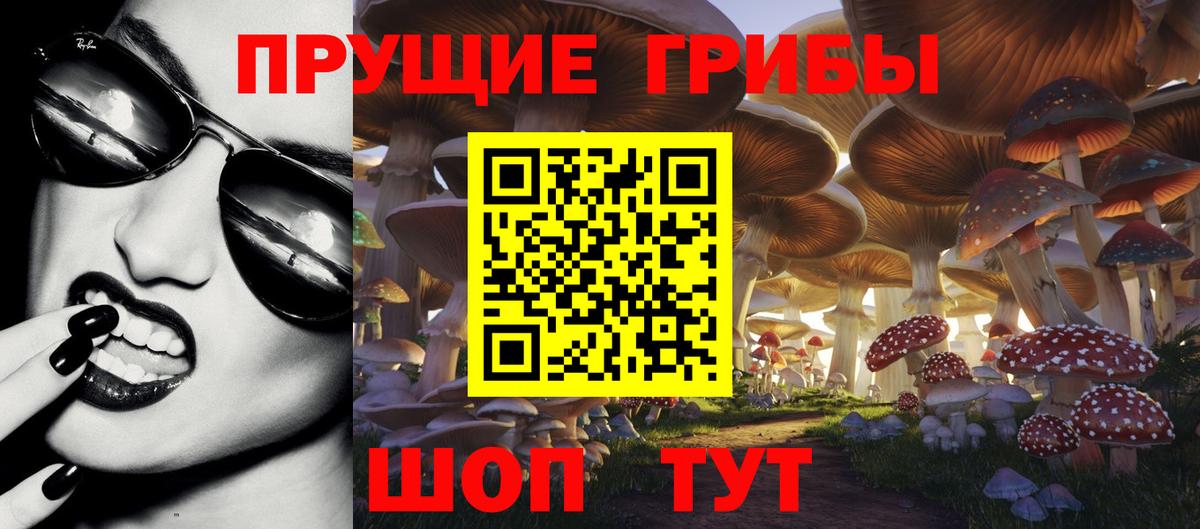 Псилоцибиновые грибы GOLDEN TEACHER  Вход с VPN  где можно купить наркотик  Черногорск  Псилоцибиновые грибы Psilocybe 