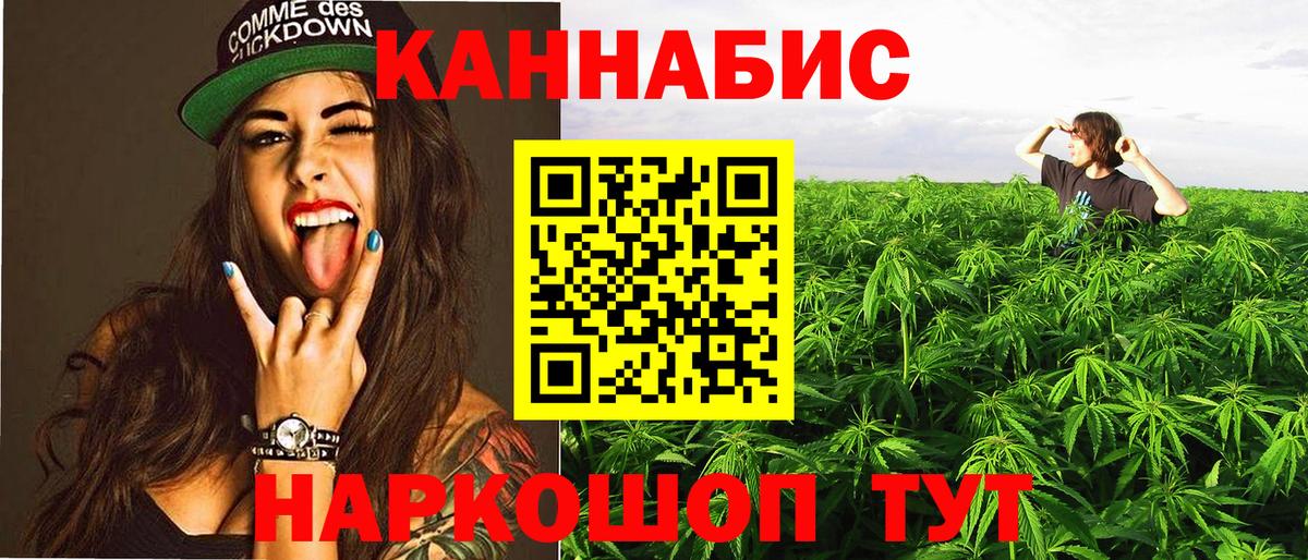 Конопля сатива Черногорск